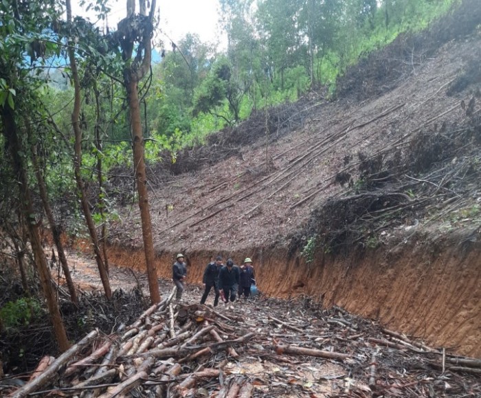 Hà Quảng: Kiểm sát việc giao đất rừng phòng hộ