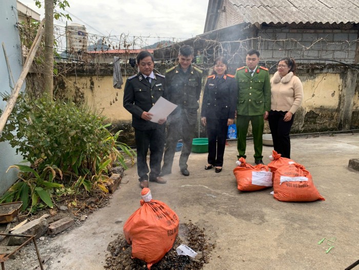 Hạ Lang: Kiểm sát việc tiêu hủy vật chứng 14 bao tải chứa vảy tê tê