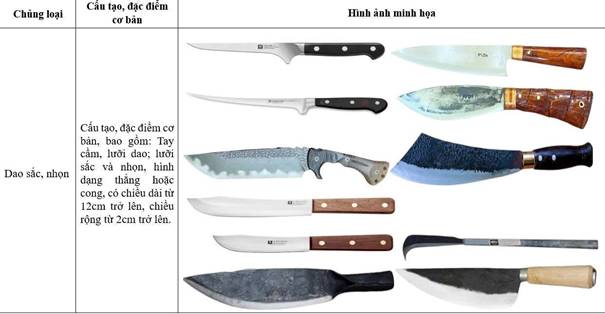 VKSND tỉnh Cao Bằng kiến nghị phòng ngừa tội phạm sử dụng trái phép vũ khí quân dụng xâm phạm tính mạng, sức khỏe người khác