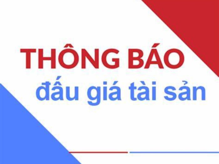 Thông báo đấu giá xe ô tô Ford Everest  biển kiểm soát 11B-0780