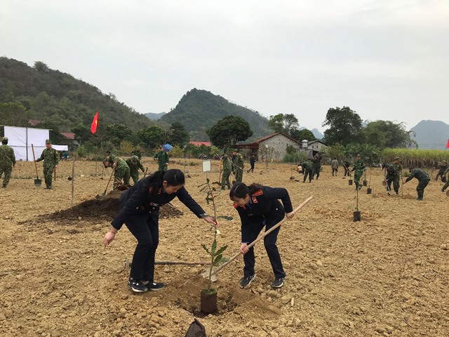 VKSND huyện Quảng Hoà tham gia Tết trồng cây năm 2023